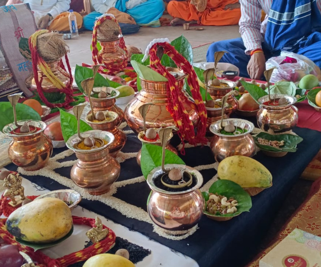 Kaal Sarp Dosh Puja